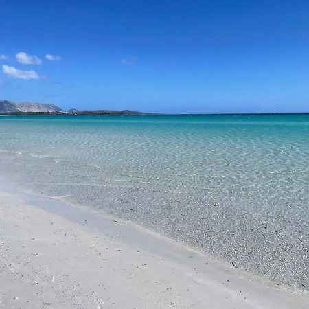 The - San Teodoro (Sardinia)